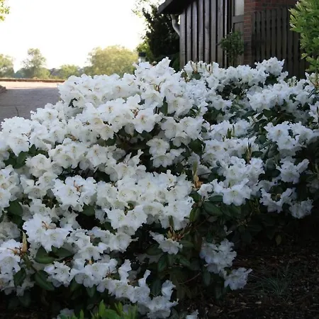 Maison d'hôtes Seeblick Garni
