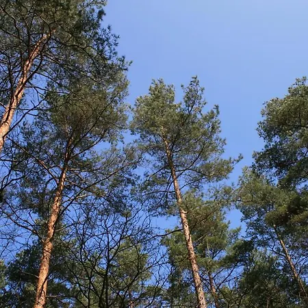 Seeblick Garni 3* Gartow