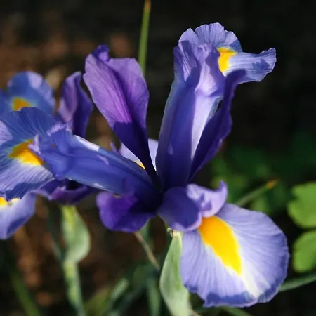 Seeblick Garni Gartow