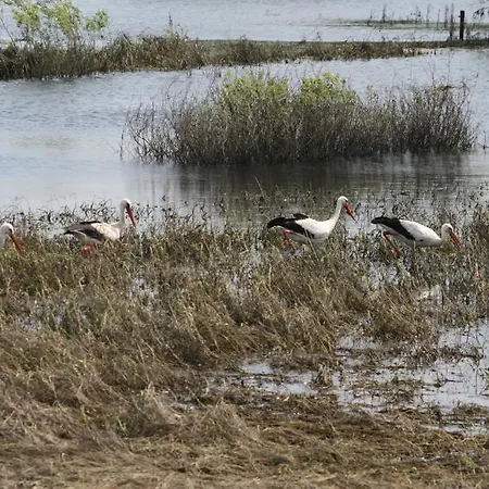 Seeblick Garni Maison d'hôtes 3*