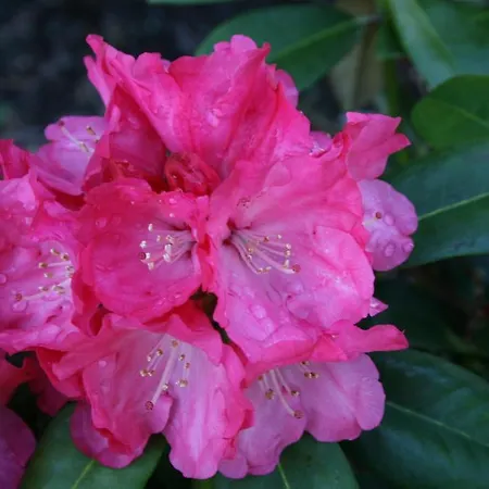 Maison d'hôtes Seeblick Garni 3*