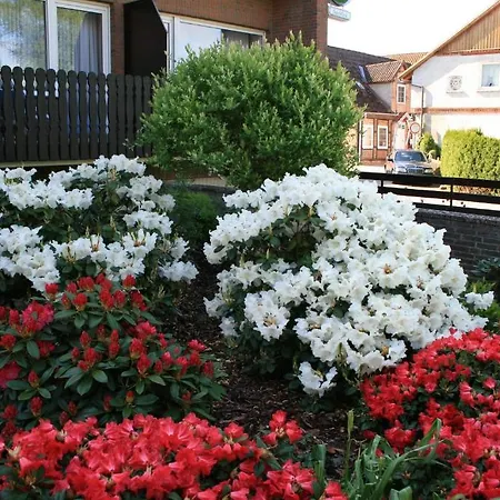 Πανσιόν Seeblick Garni Gartow